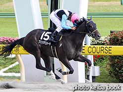 カラーパネル2017年6月10日東京10R 八王子特別(プリンシアコメータ)