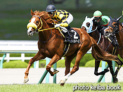 カラープリント(アルミ枠付き)2017年6月11日阪神9R 三田特別(ノーブルマーズ)