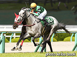 カラーパネル2017年6月11日阪神11R マーメイドステークス(マキシマムドパリ)