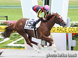 カラーパネル2017年6月11日東京12R 3歳上500万下(トレンドライン)