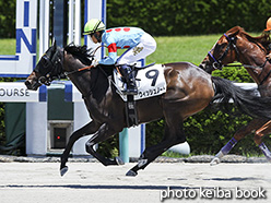 カラーパネル2017年6月17日阪神3R 3歳未勝利(ウィッシュノート)