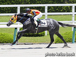 カラープリント(アルミ枠なし)2017年6月17日阪神4R 3歳未勝利(ダンサクドゥーロ)