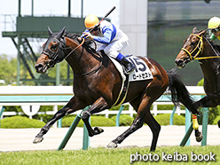 カラーパネル2017年6月17日阪神6R 3歳未勝利(ロードゼスト)