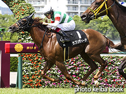 カラーパネル2017年6月17日阪神9R 小豆島特別(ラプソディーア)