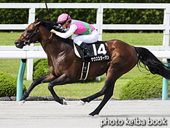 カラープリント(アルミ枠付き)2017年6月17日阪神11R 天保山ステークス(サウススターマン)