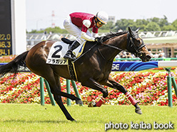 カラーパネル2017年6月17日東京6R 3歳未勝利(フラガリア)