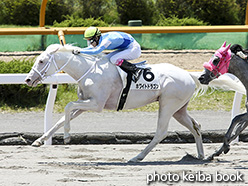 カラープリント(アルミ枠なし)2017年6月17日函館4R 3歳未勝利(ホワイトドラゴン)