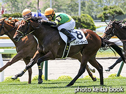 カラーパネル2017年6月17日函館5R 2歳新馬(ベイビーキャズ)