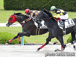 カラーパネル2017年6月18日阪神2R 3歳未勝利(モズダイキチ)