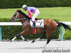 カラーパネル2017年6月18日阪神4R 障害未勝利(メイショウナルト)