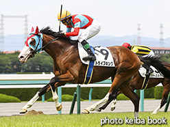 カラーパネル2017年6月18日阪神8R 3歳上500万下(トライブキング)