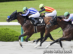 カラープリント(アルミ枠なし)2017年6月18日阪神10R 灘ステークス(シャイニービーム)