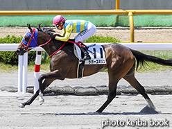 カラーパネル2017年6月18日函館2R 3歳未勝利(ラガーユミリン)