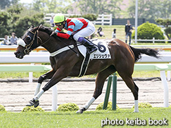 カラーパネル2017年6月18日函館8R 3歳上500万下(エリシェヴァ)