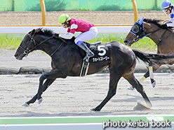 カラーパネル2017年6月18日函館10R 木古内特別(ショートストーリー)