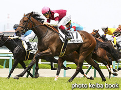 カラープリント(アルミ枠付き)2017年6月24日阪神6R 3歳未勝利(キャンディストーム)