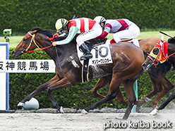 カラーパネル2017年6月24日阪神7R 3歳上500万下(オンリーワンスター)