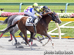 カラーパネル2017年6月24日東京7R 3歳上500万下(ノーブルサンズ)