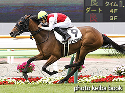 カラーパネル2017年6月24日函館3R 3歳未勝利(ショウナンサザナミ)