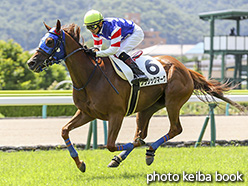 カラープリント(アルミ枠付き)2017年7月8日福島1R 障害未勝利(クラシックマーク)