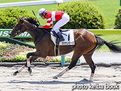 カラープリント(アルミ枠付き)2017年7月8日福島2R 3歳未勝利(フクサンローズ)