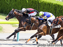 カラーパネル2017年7月8日福島6R 3歳未勝利(ウォーターメロン)