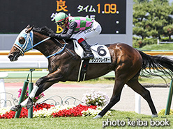 カラープリント(アルミ枠付き)2017年7月8日函館1R 2歳未勝利(ダンツクレイオー)