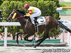 カラーパネル2017年7月8日函館2R 3歳未勝利(デアリングアイデア)