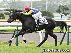 カラープリント(アルミ枠付き)2017年7月16日函館1R 2歳未勝利(ヤマノグラップル)