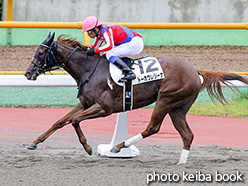 カラープリント(アルミ枠なし)2017年7月16日函館2R 3歳未勝利(トーホウレジーナ)