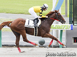 カラープリント(アルミ枠なし)2017年7月22日中京1R 2歳未勝利(ドンフォルティス)