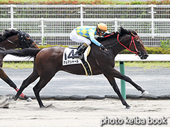 カラーパネル2017年7月22日中京4R 3歳未勝利(アルマシャール)