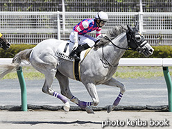 カラープリント(アルミ枠なし)2017年7月22日中京8R 3歳上500万下(ペガサスシャーイン)