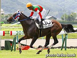 カラープリント(アルミ枠なし)2017年7月22日福島1R 障害未勝利(スプレーモゲレイロ)