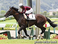 カラープリント(アルミ枠付き)2017年7月22日福島4R 障害オープン(コンコード)