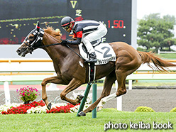 カラープリント(アルミ枠なし)2017年7月22日函館1R 2歳未勝利(カレンシリエージョ)