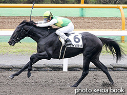 カラープリント(アルミ枠付き)2017年7月22日函館4R 3歳未勝利(フライングゲット)