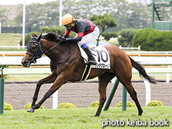 カラーパネル2017年7月22日函館9R 3歳上500万下(タンタグローリア)