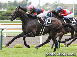 カラーパネル2017年7月22日函館10R 横津岳特別(レジェンドセラー)