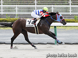 カラープリント(アルミ枠なし)2017年7月23日中京3R 3歳未勝利(シュライエンシチー)