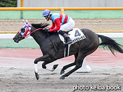 カラーパネル2017年7月23日函館6R 3歳上500万下(タマモコーラス)