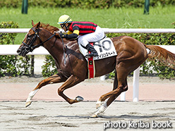 カラーパネル2017年7月29日小倉2R 3歳未勝利(エイシンスペード)