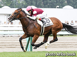 カラープリント(アルミ枠なし)2017年7月29日札幌5R 2歳新馬(タワーオブロンドン)