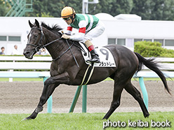 カラーパネル2017年8月13日札幌5R 2歳新馬(フラットレー)