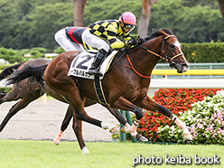 カラーパネル2017年8月19日新潟5R 2歳新馬(ノーブルバルカン)