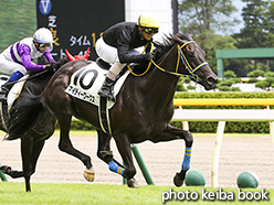 カラープリント(アルミ枠付き)2017年8月19日新潟6R 2歳新馬(マイティーワークス)