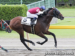 カラープリント(アルミ枠なし)2017年8月19日新潟8R 3歳上500万下(ワイルドカード)