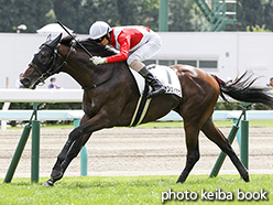 カラーパネル2017年8月19日札幌2R 2歳未勝利(リンシャンカイホウ)