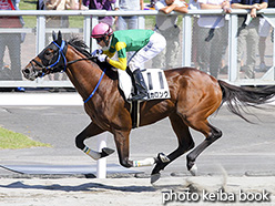 カラーパネル2017年8月19日札幌8R 3歳上500万下(スズカロング)