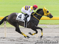 カラープリント(アルミ枠付き)2017年8月20日新潟2R 3歳未勝利(ニシノレディー)